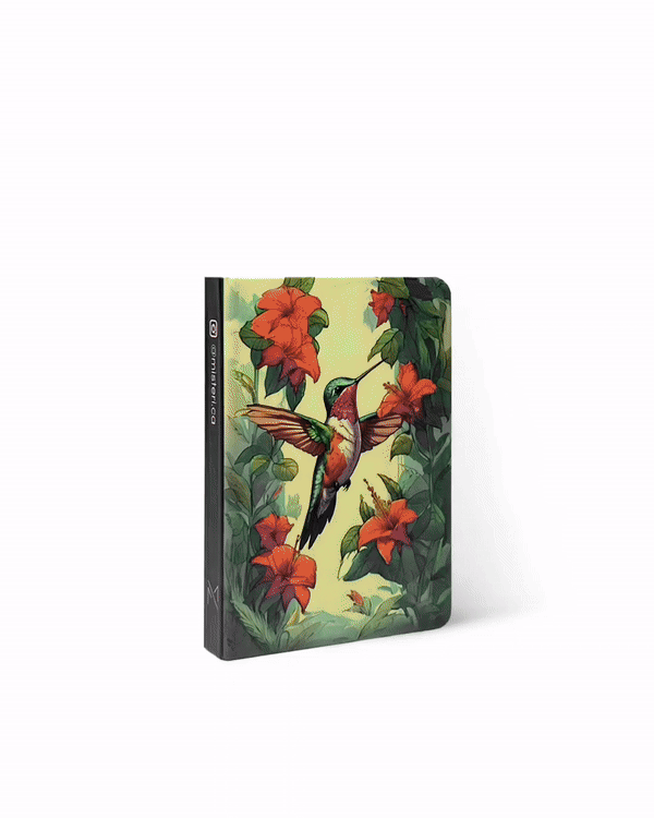 Libretas Neón